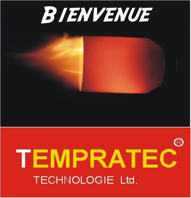 Brûleur multicombustible Tempratec C1
